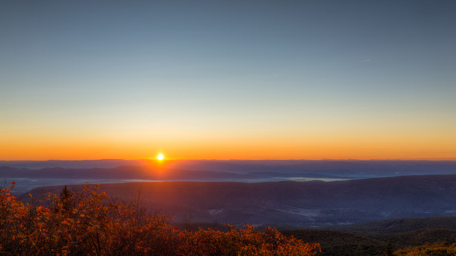 Is Trump the Anti-Christ?